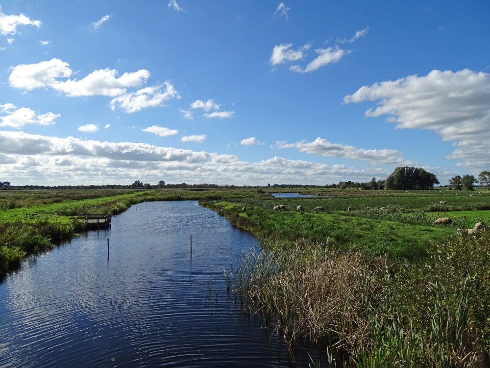 NP De Alde Feanen